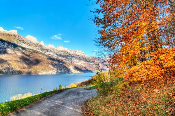 Autumn landscape trees river rocks