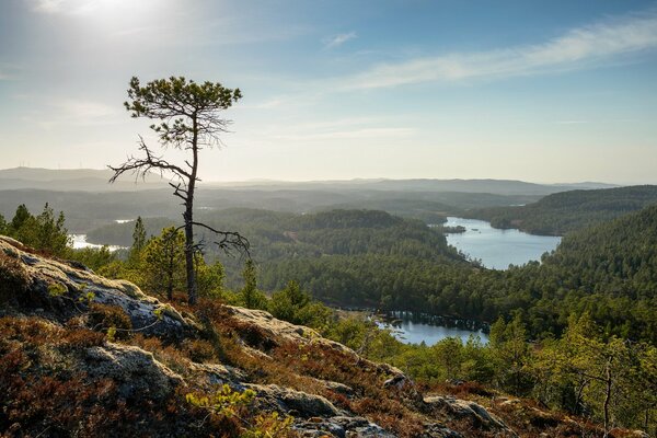 Le paysage de montagne en tant qu art distinct