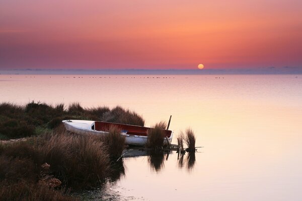 Boat at the shore at sunset