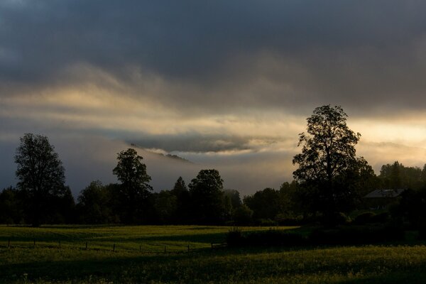 Árboles al amanecer en Baviera contra un cielo nublado