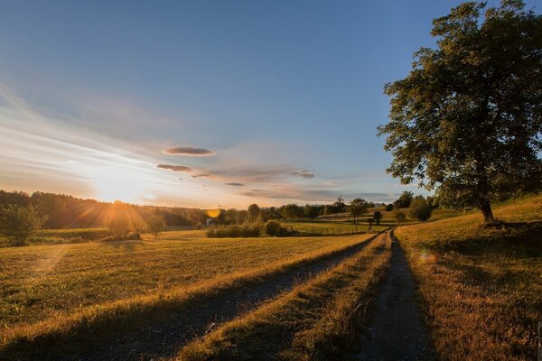 Alba in Italia. Strada, prato e alberi