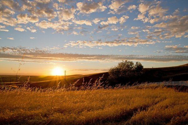 Beau coucher de soleil dans un champ avec une clôture