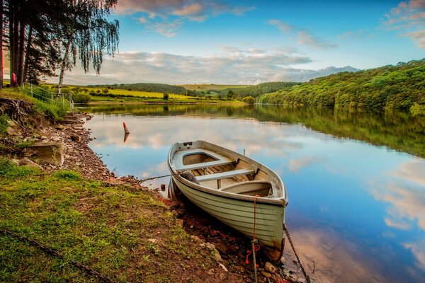 Forest river. Summer fishing