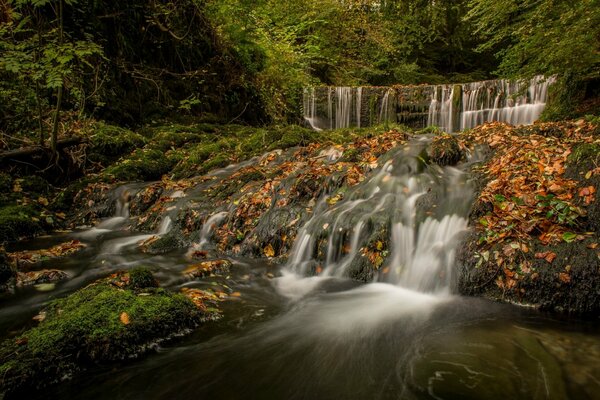 Ein Wasserfall in England. Herbst, Wald
