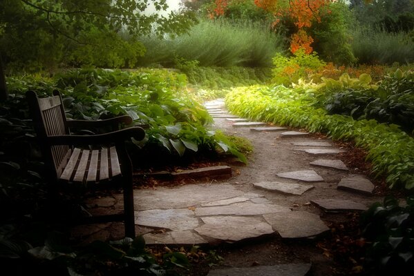 Ein Weg, der zur Gartenbank führt