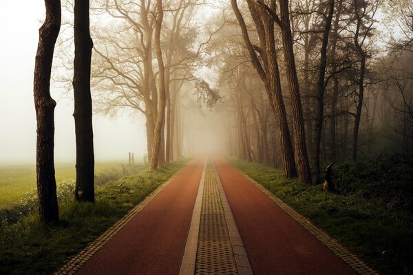 Ein nebliger früher Morgen und eine Straße