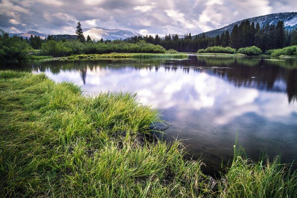 Paisaje de verano en el lago