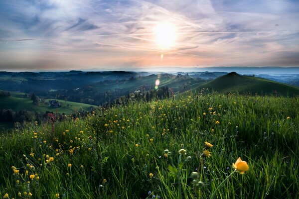 Paysage vert tour sur fond de collines et de ciel