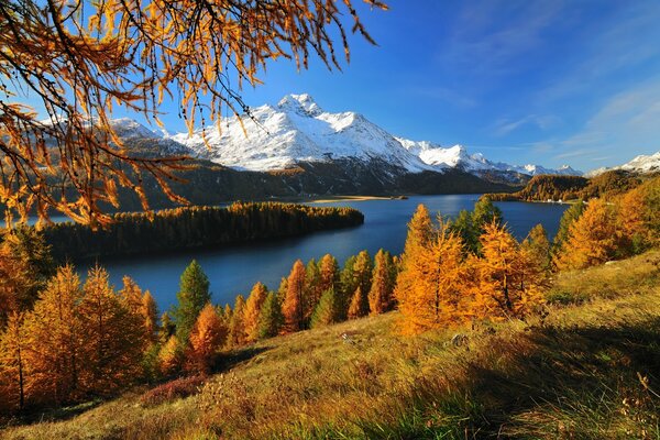 Herbstlicher Wald umgeben von Bergen und Seen