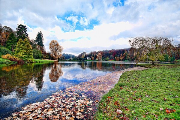 Angleterre Wiltshire étang et arbres