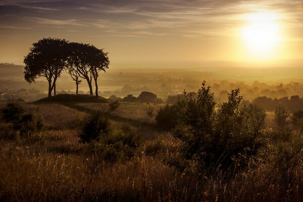 Sonnenuntergang über Kopt Hill