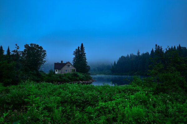 Beautiful grass at the house with fog