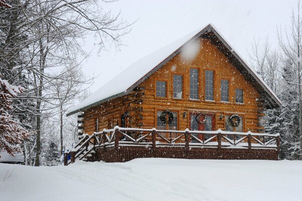 Snowy nature house trees