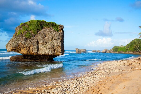 Rocher au bord de la mer parmi les palmiers verts