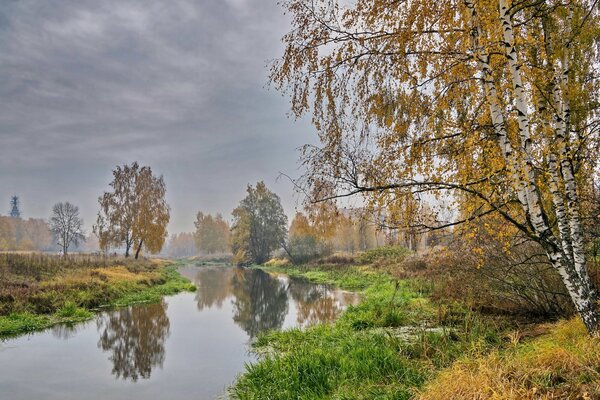 Rosyjski jesienny krajobraz z brzozą