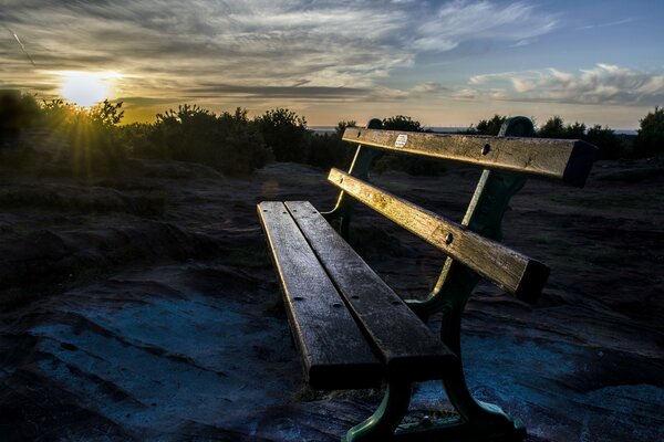 Réunion de l aube du matin sur le banc