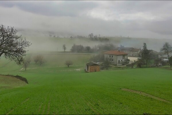 Nebliger Morgen über kleinen Häusern inmitten von grünem Gras und Bäumen