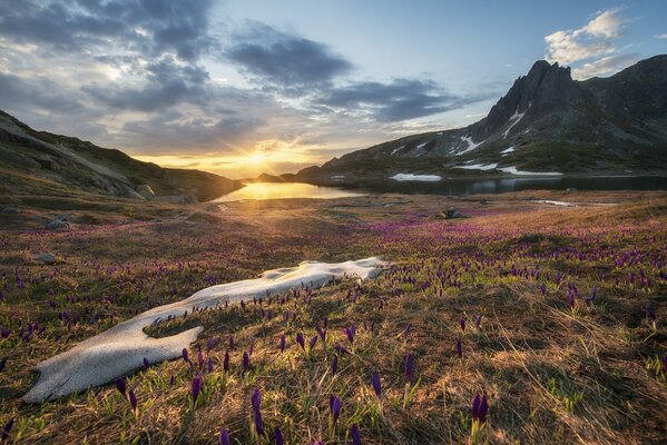 Spring Bulgaria at sunrise