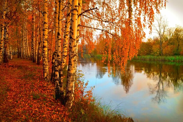 Beautiful nature on the background of the river