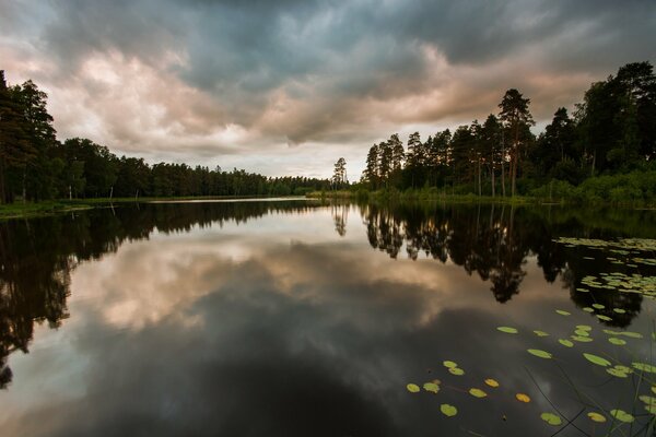 Paint deposition on the lake