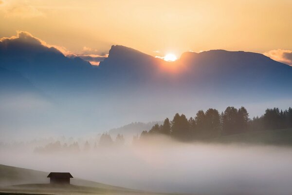 Утро в поле в застилающем тумане