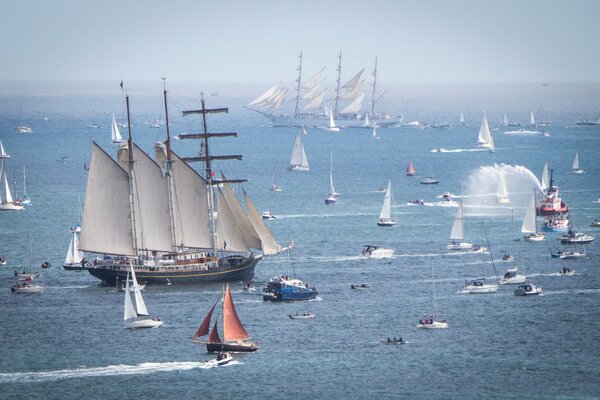 Participantes de la Regata de vela Marina