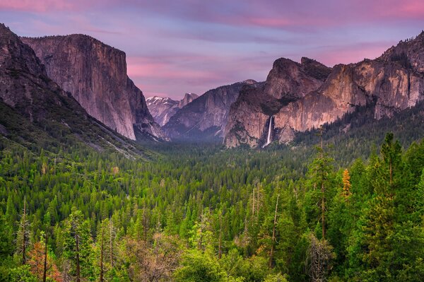 Mountain landscape and forest at sunset