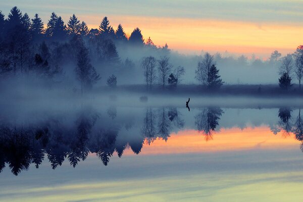 Zimna poranna mgła rozprzestrzenia się wzdłuż jeziora i lasu w promieniach przed świtem