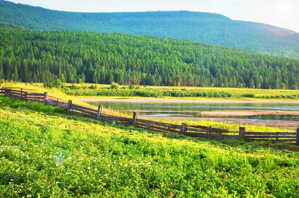 Деревенский пейзаж. Цветущая картошка. Деревянный забор у реки