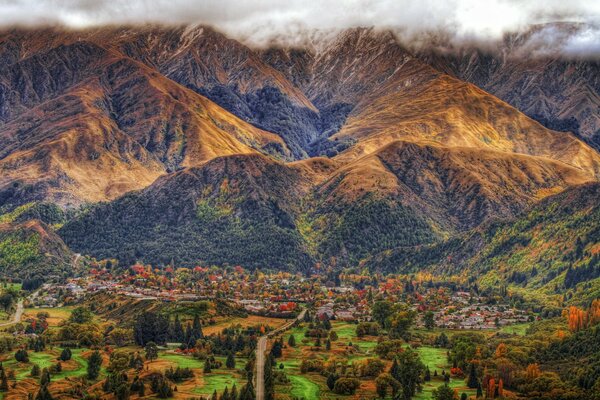 Eine Stadt im Wald in Neuseeland