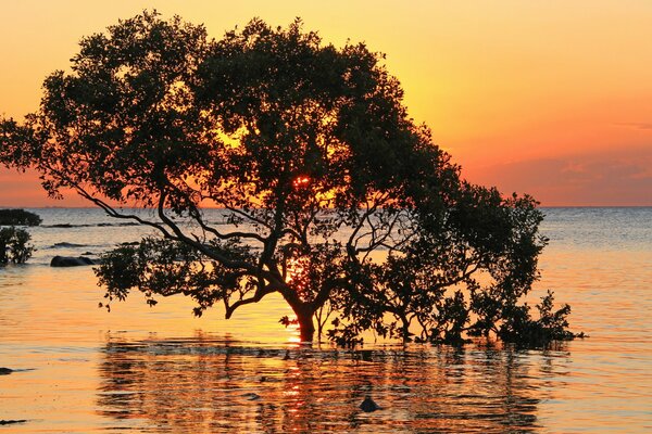 A bright sunset over the sea surface