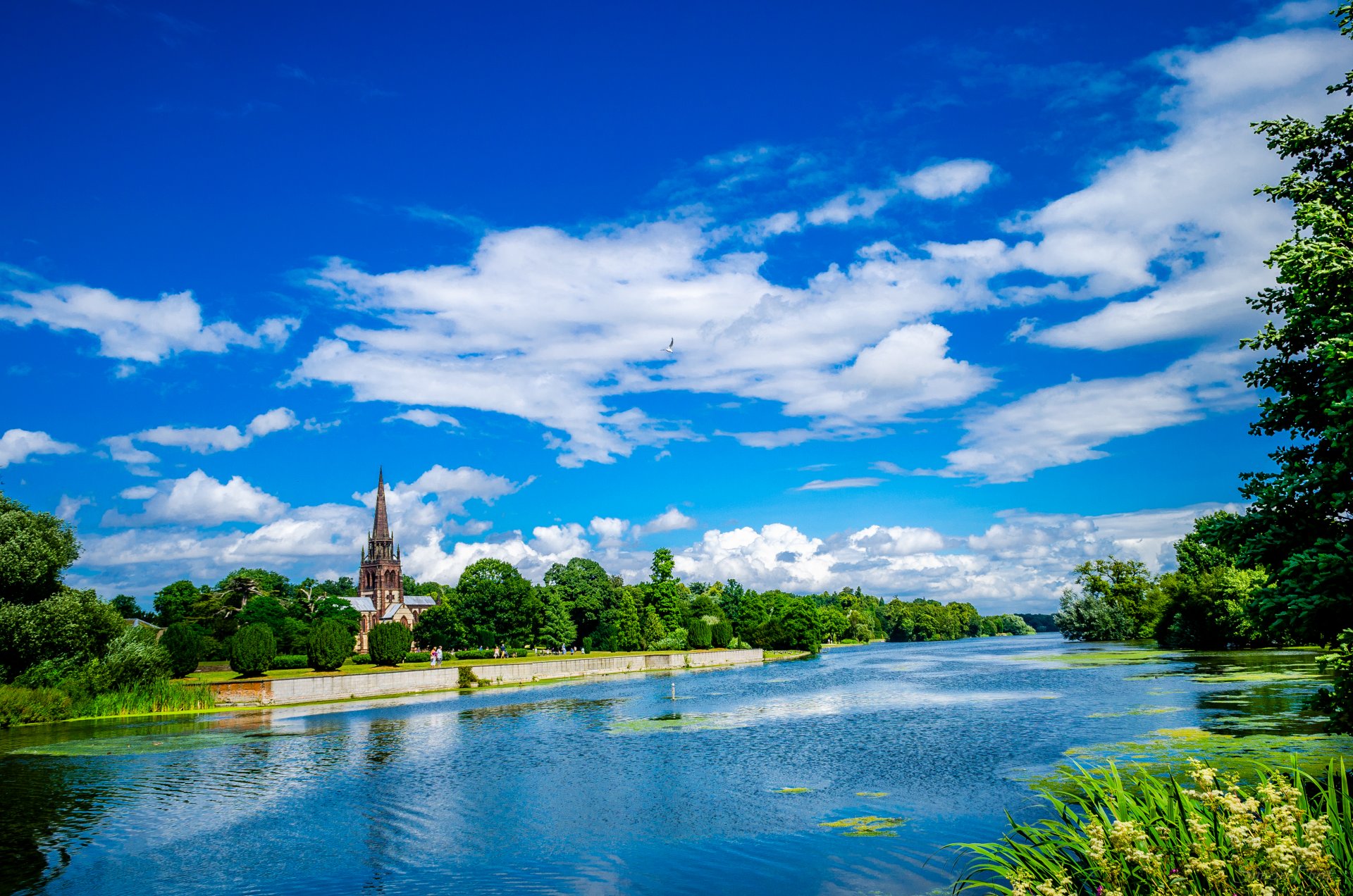 iglesia santa virgen maría en clumber park nottinghamshire árboles vegetación lago gaviota cielo nubes