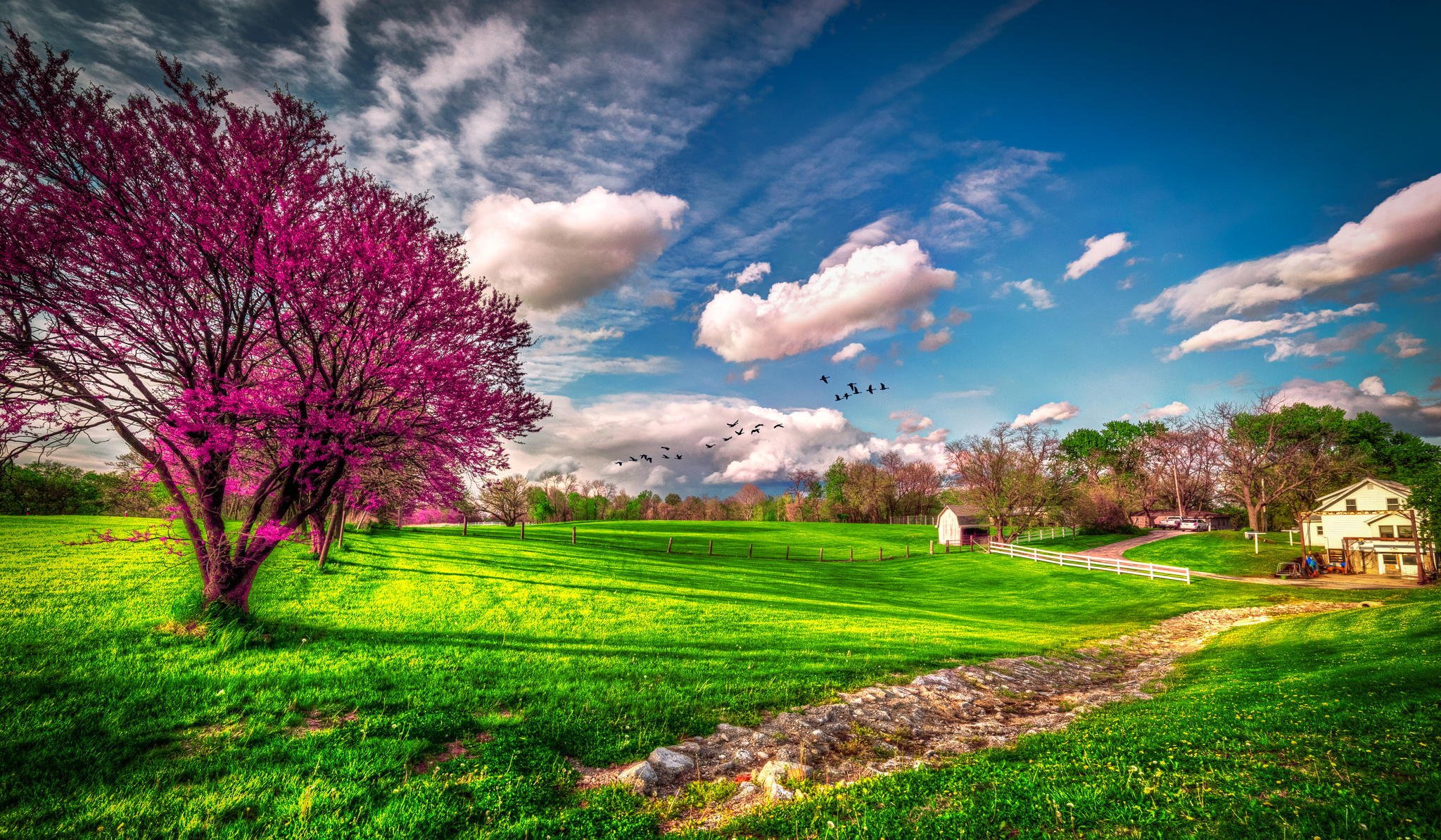 united states missouri spring farm grass green clouds tree bloom