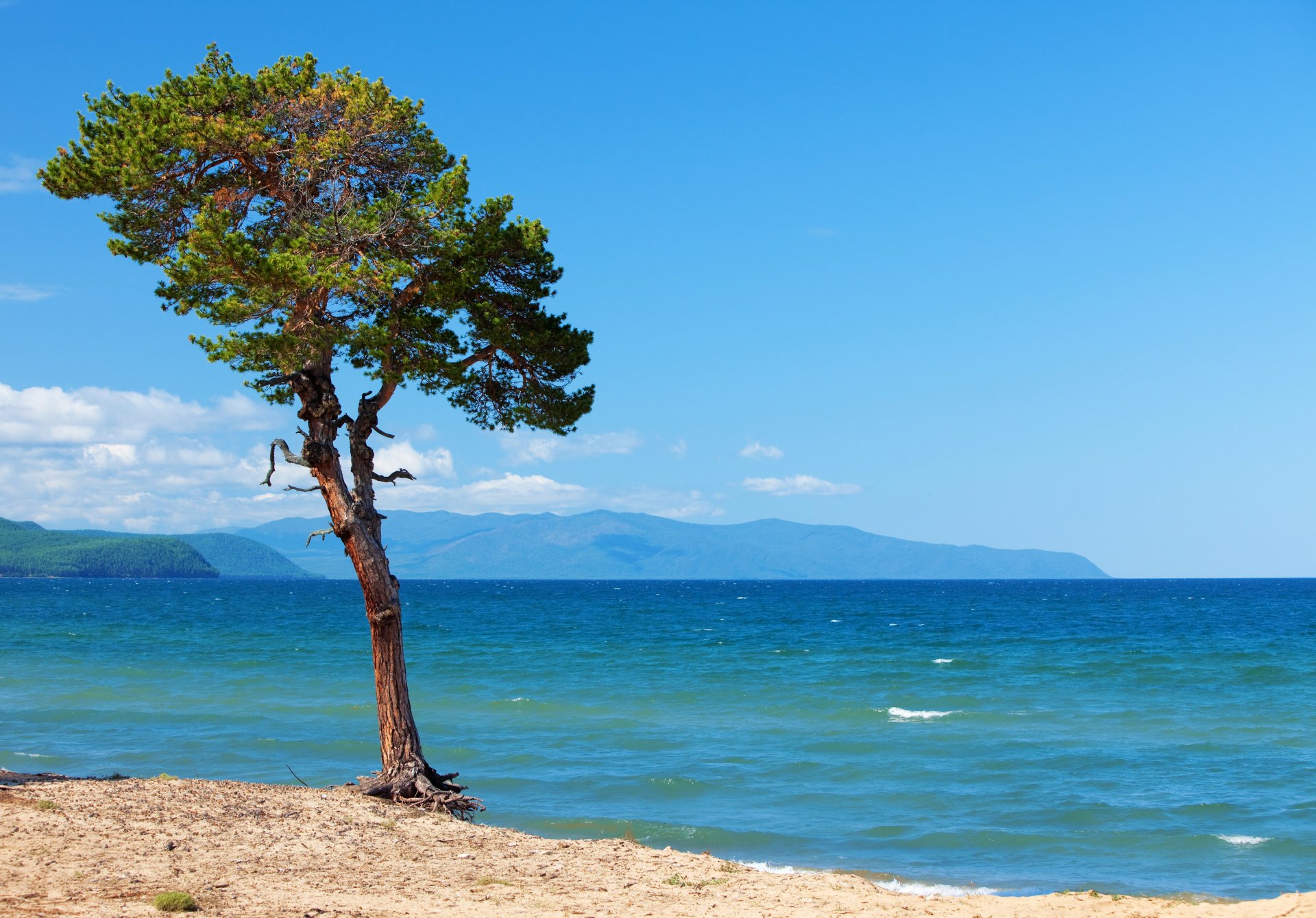 russie lac paysage baïkal arbre nature photo