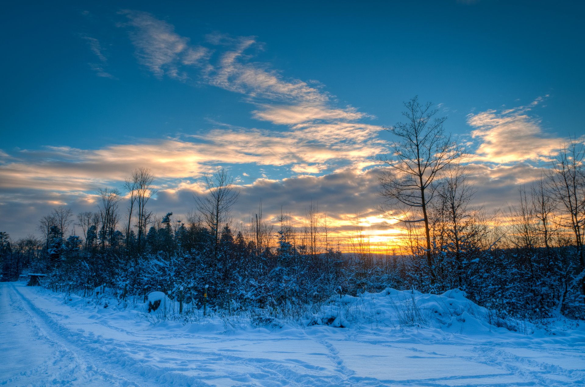 ciel nuages coucher de soleil hiver neige arbres route nature sentier