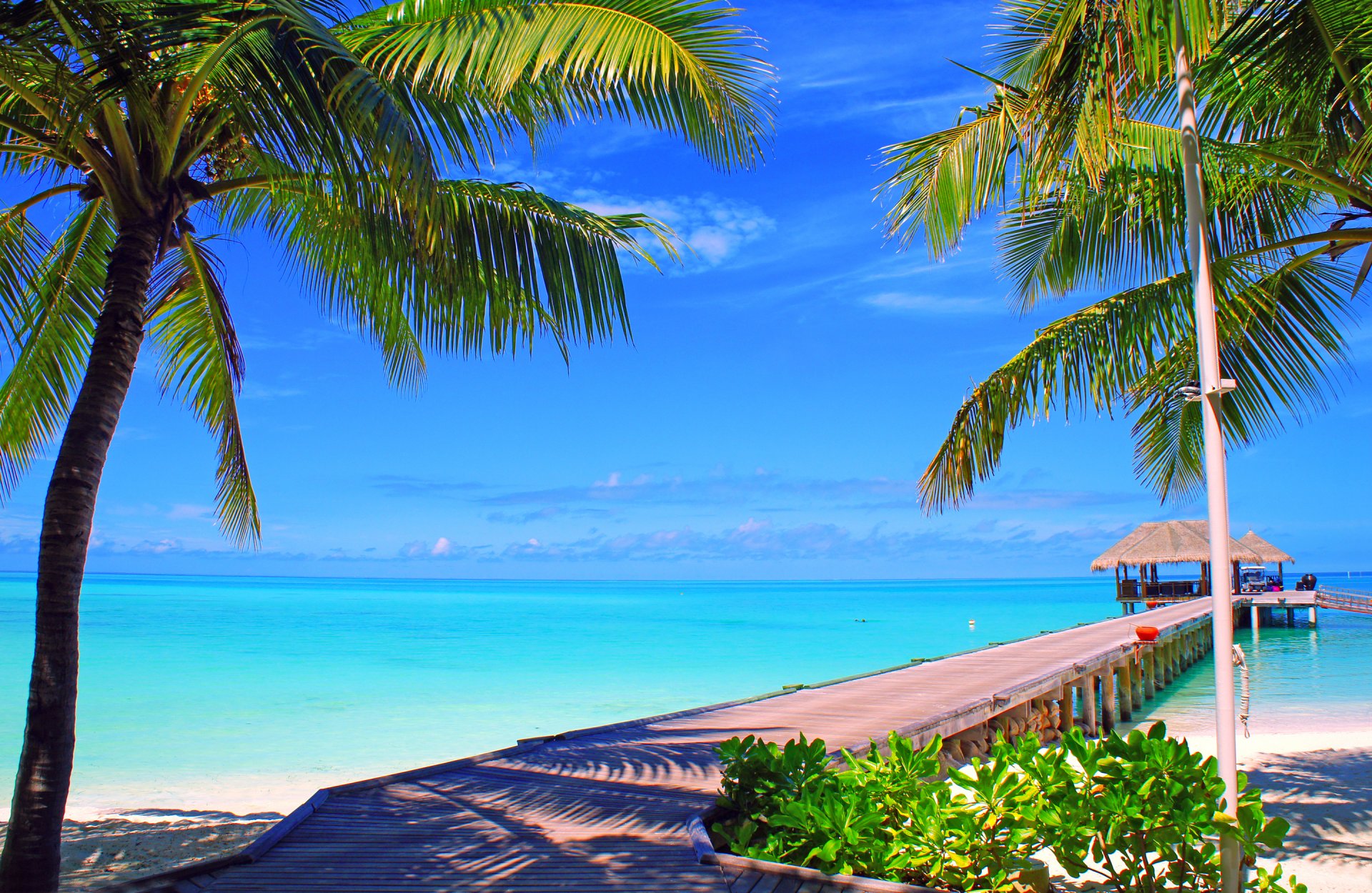 the maldives sky clouds horizon island palm bridge bungalow sea ocean