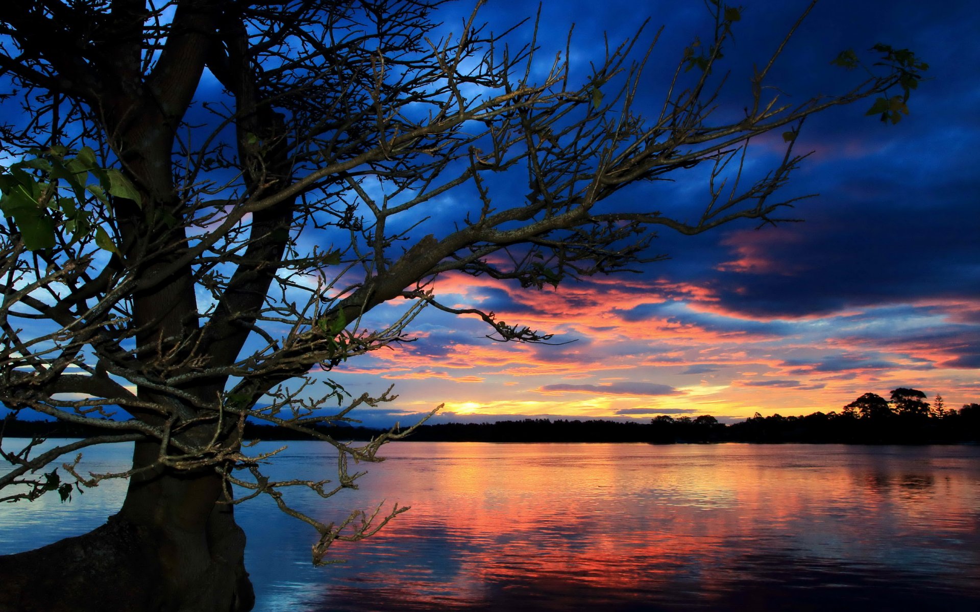 lac coucher de soleil arbre paysage