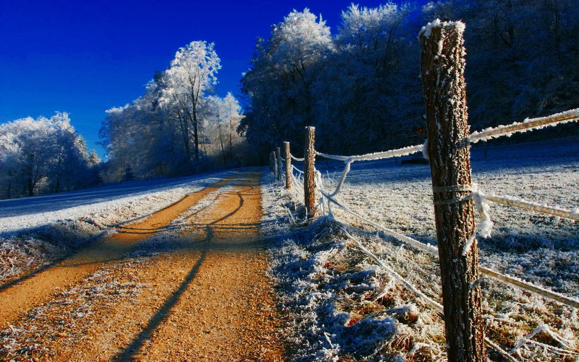 cielo invierno nieve árboles escarcha carretera cerca