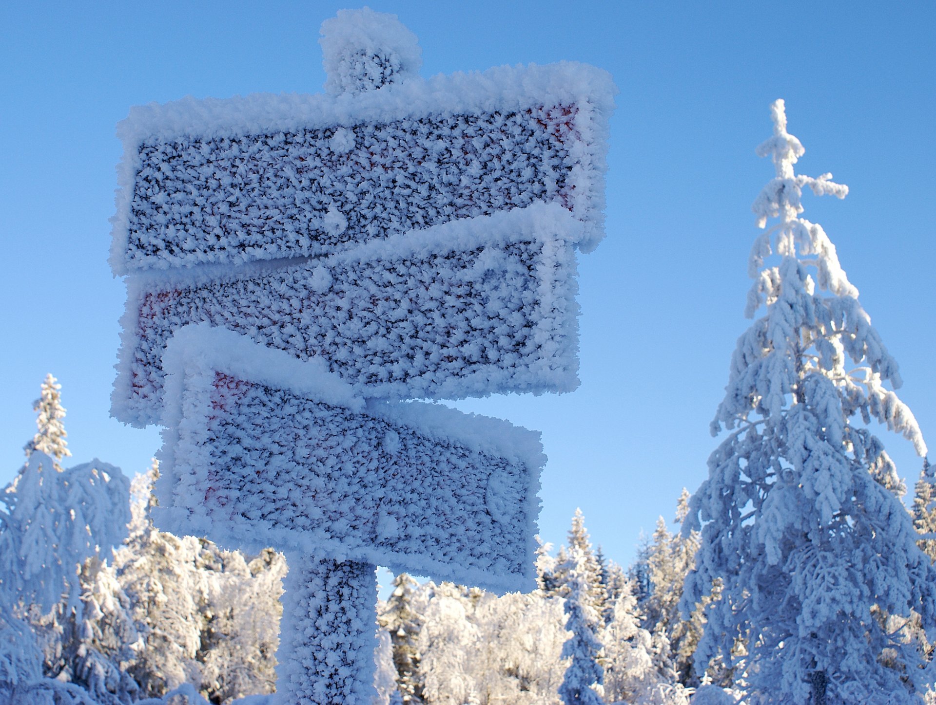 winter zeiger frost bäume schnee