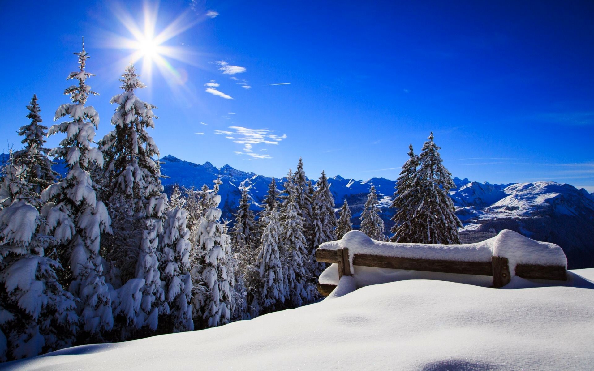 nature bench forest park sun winter snow sky landscape white beautiful cool nice scenery sunset