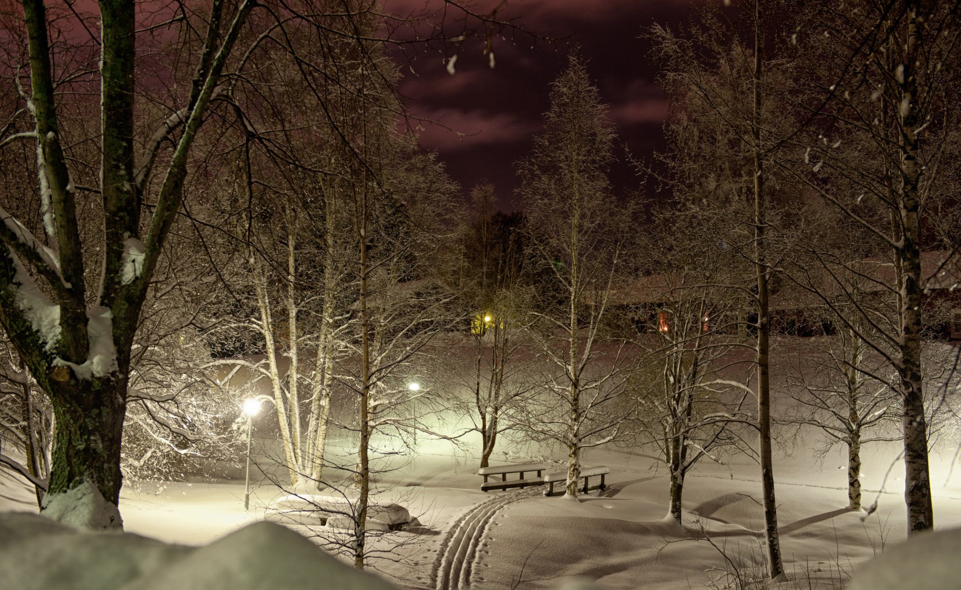 parque invierno esquí árboles nieve noche luces luz