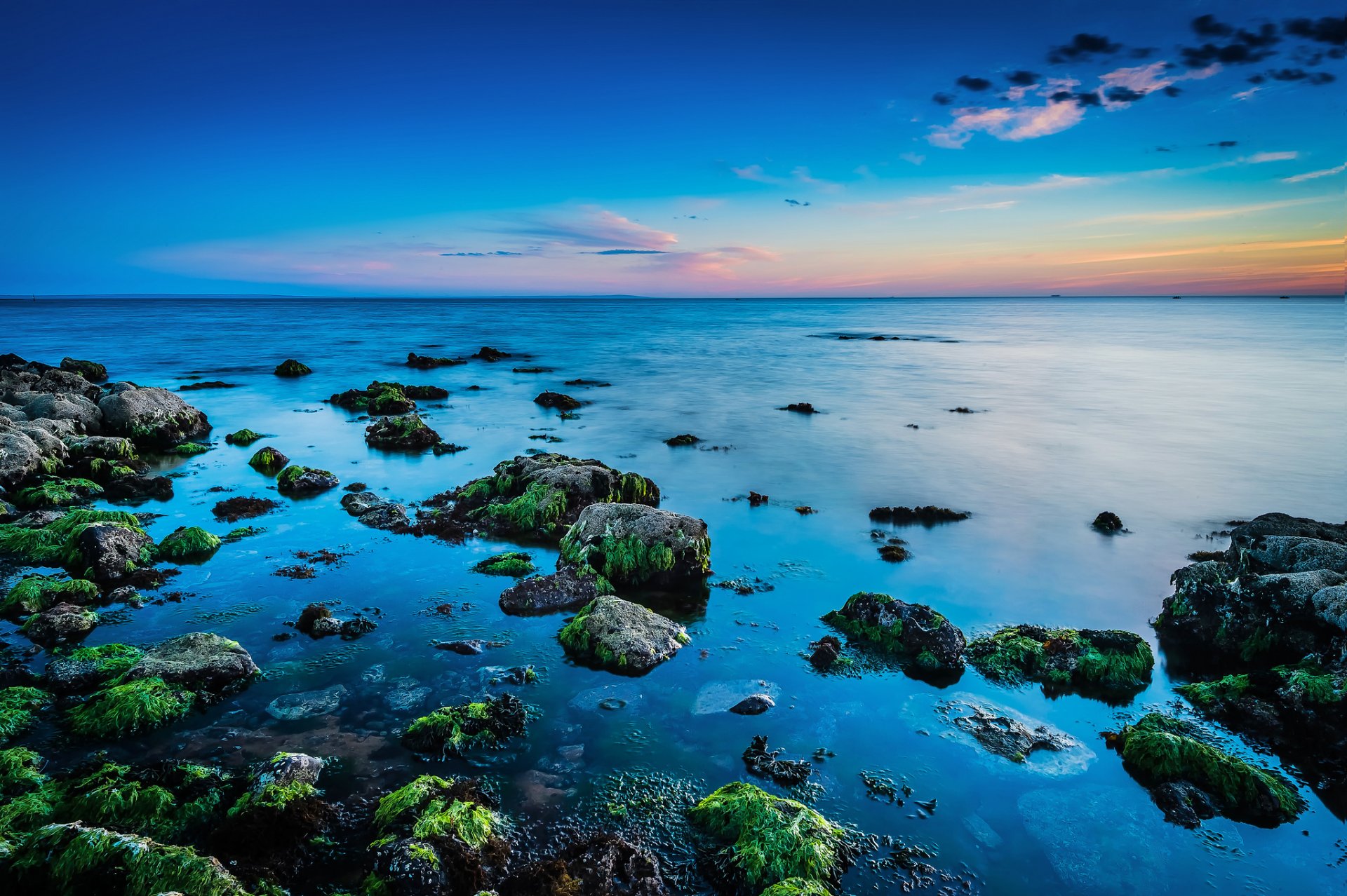 mer pierres algues horizon coucher de soleil