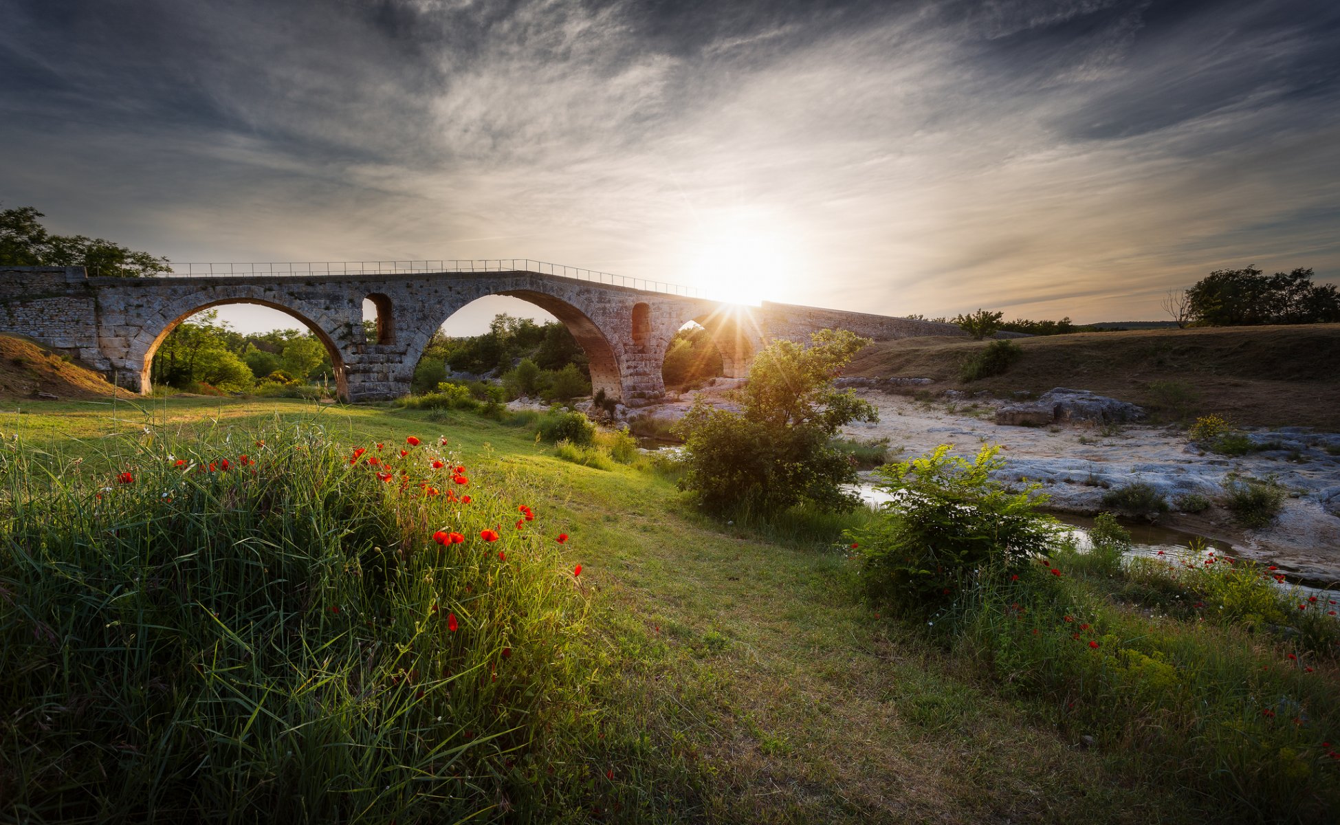 aiuola fiori papaveri fiume flusso ponte sole raggi