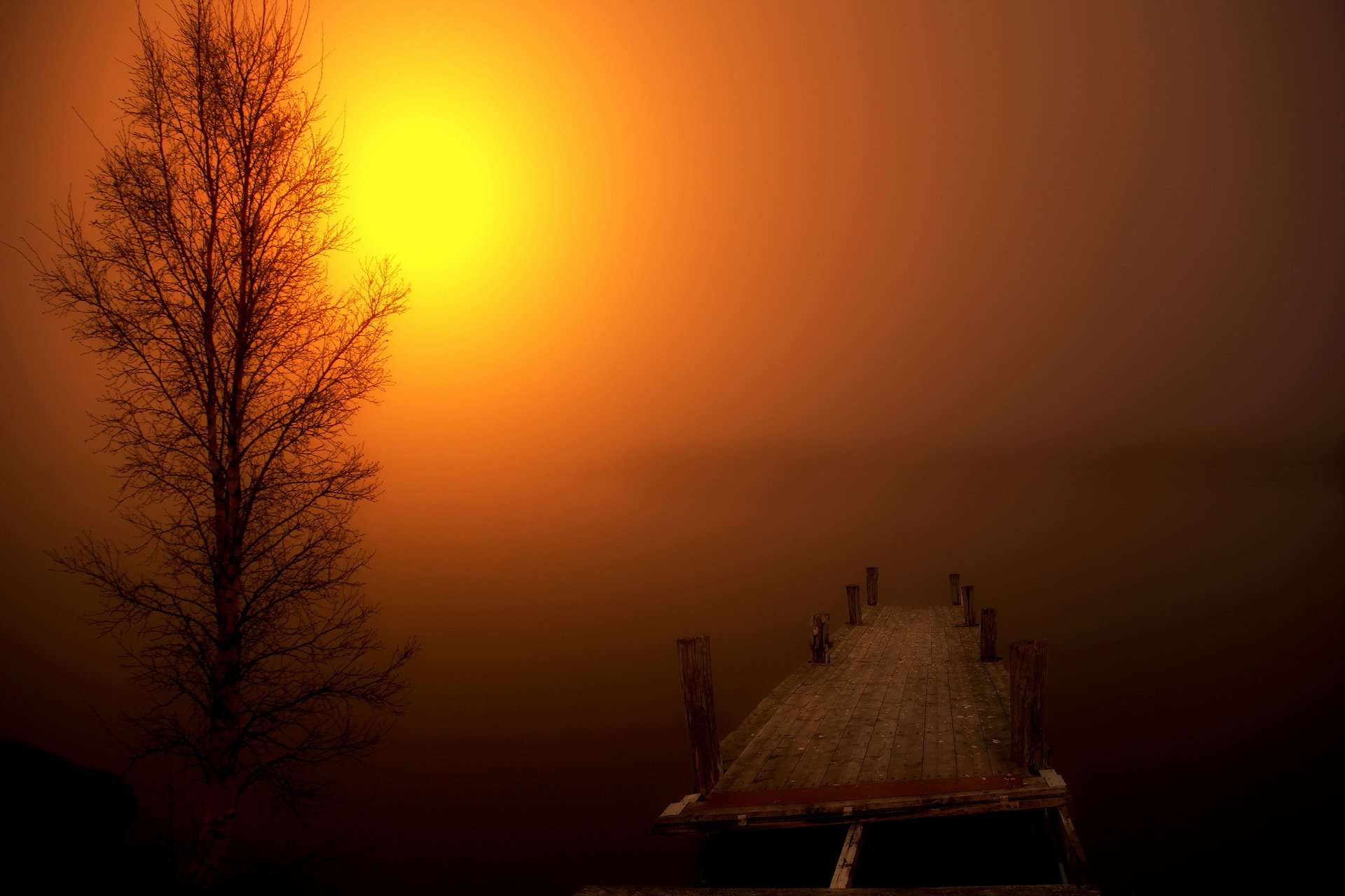 nacht brücke baum nebel landschaft