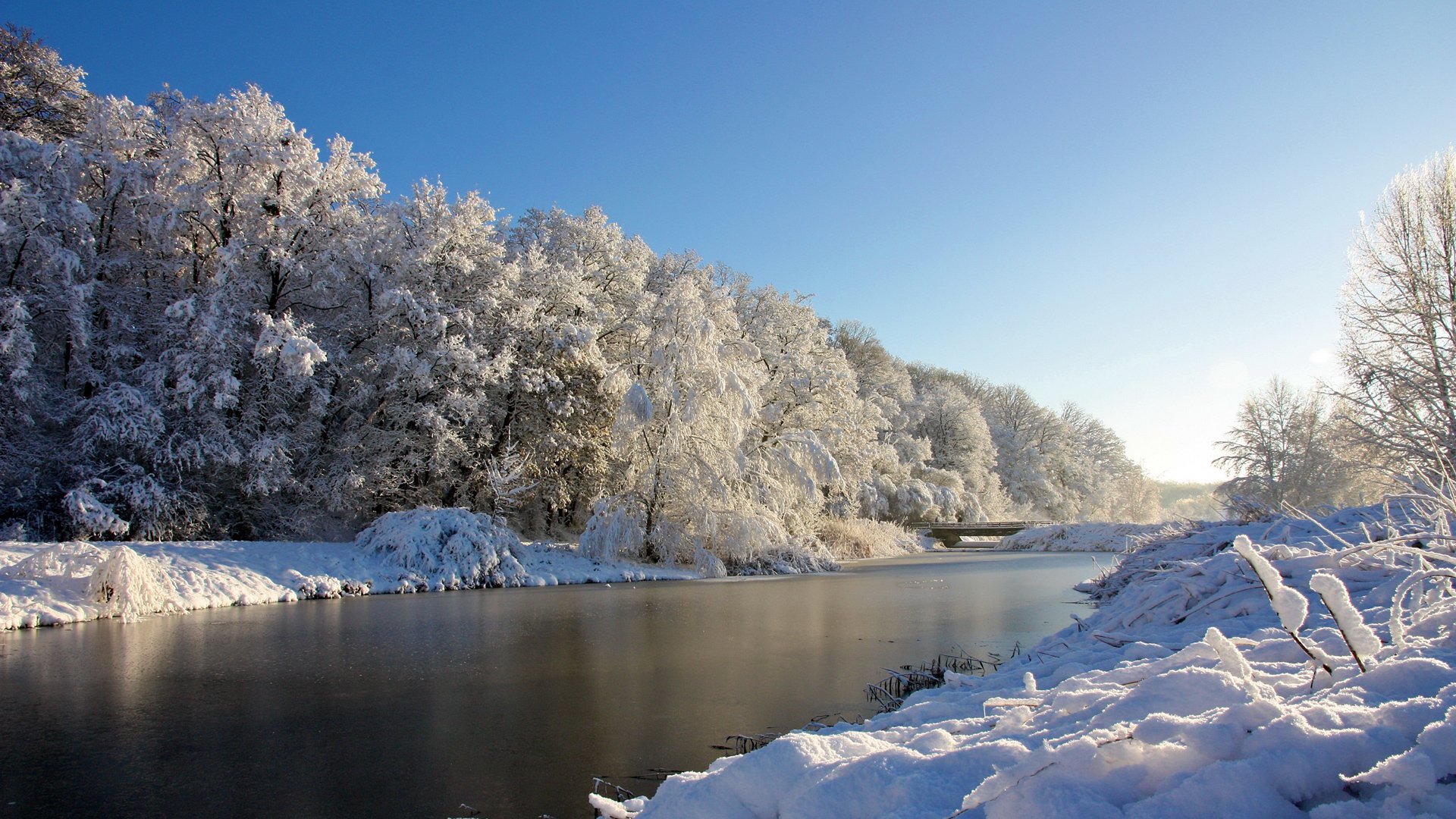 winter river tree snow