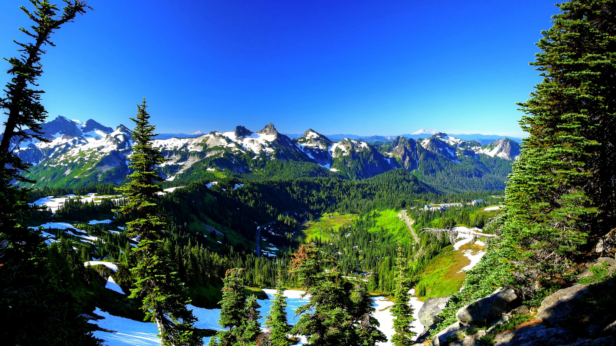 mount rainier usa niebo wiosna drzewa góry śnieg świerk zbocze szczyt