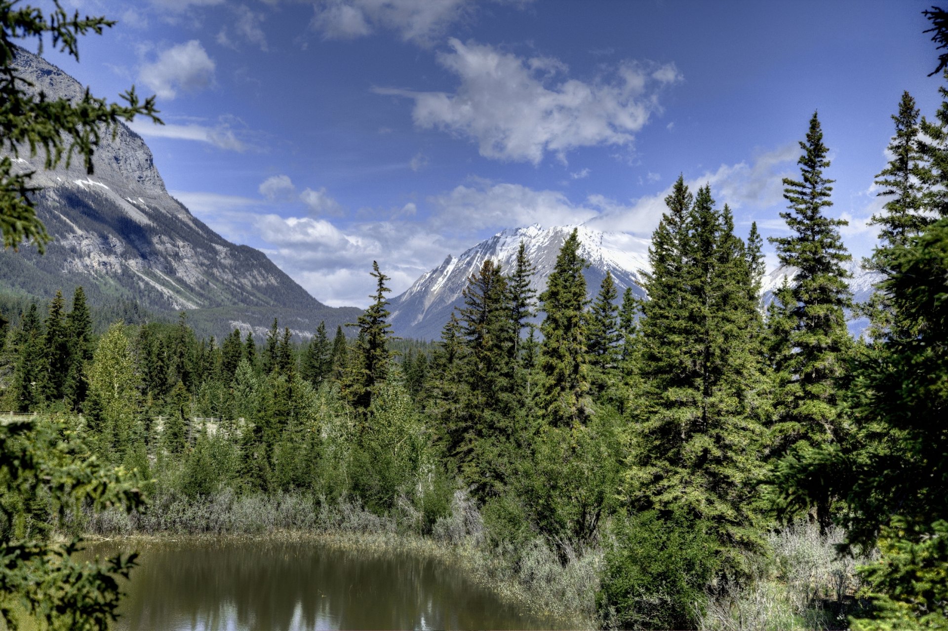 parco nazionale di jasper alberta canada montagne foresta abete rosso