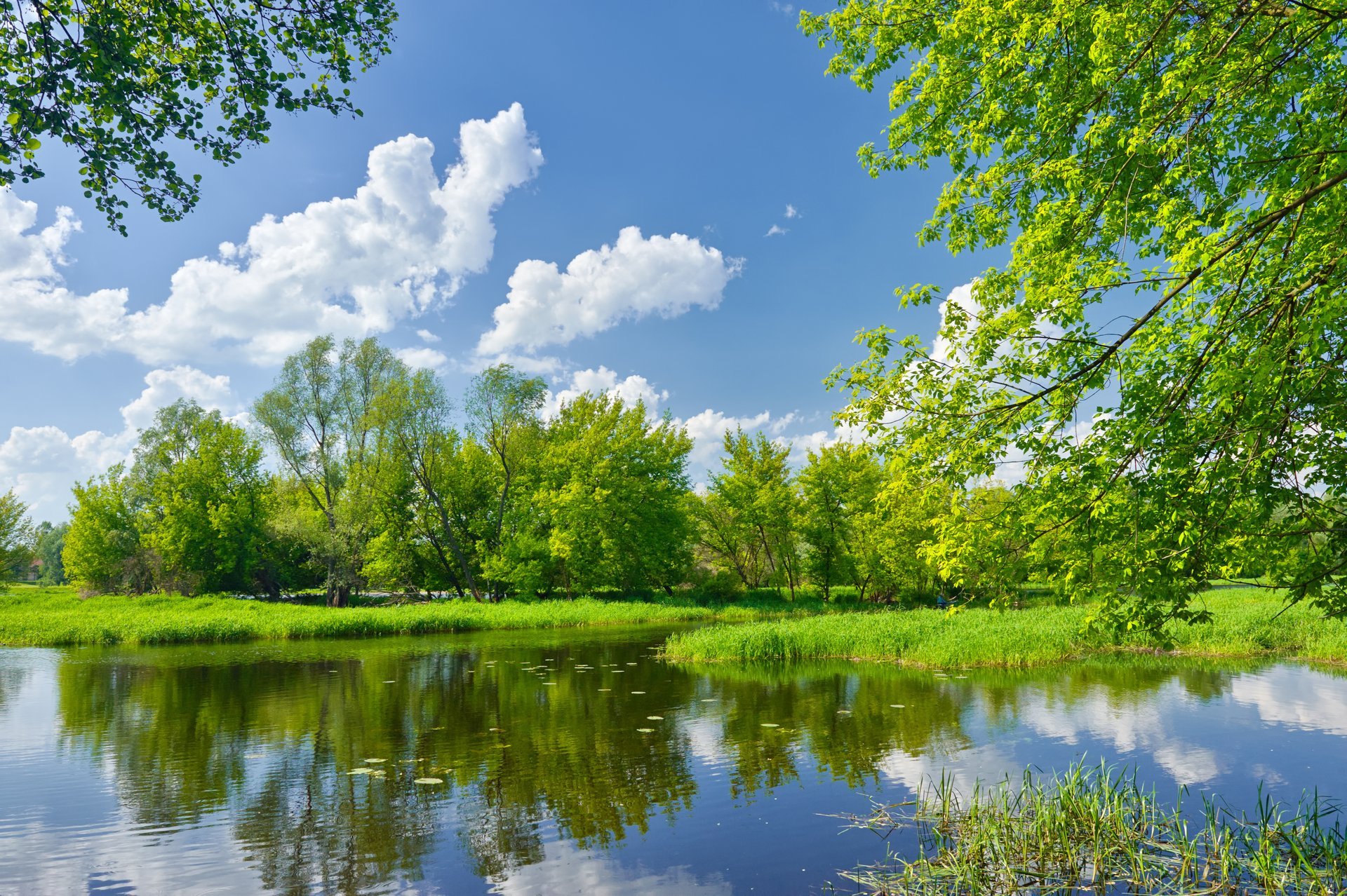 paysage nature arbres vert herbe ciel nuages