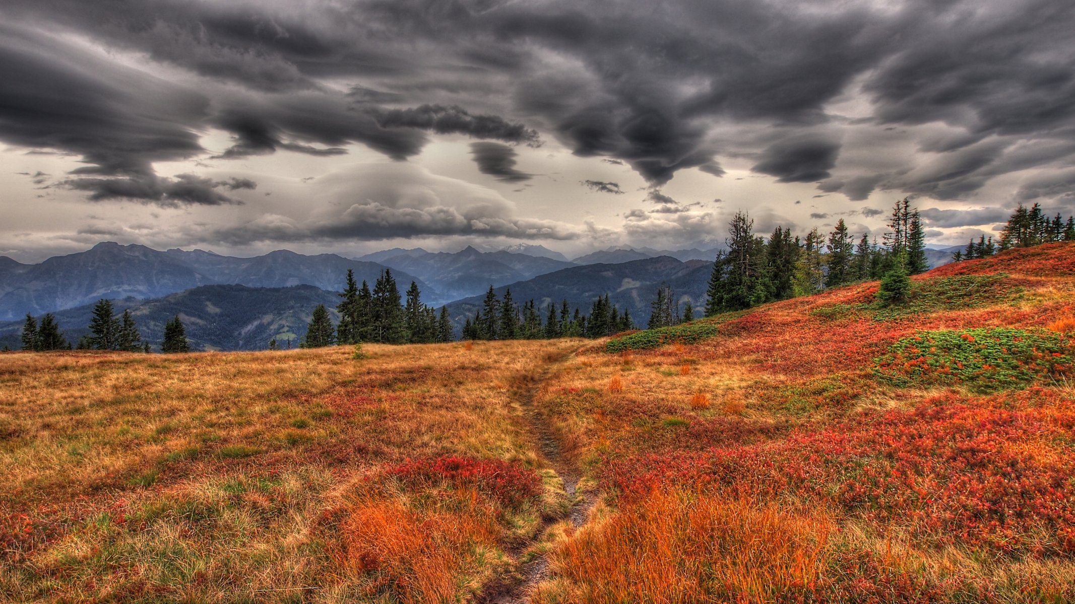 montagne autunno erba giallo asciutto sentiero sentiero sentiero nuvole nuvoloso