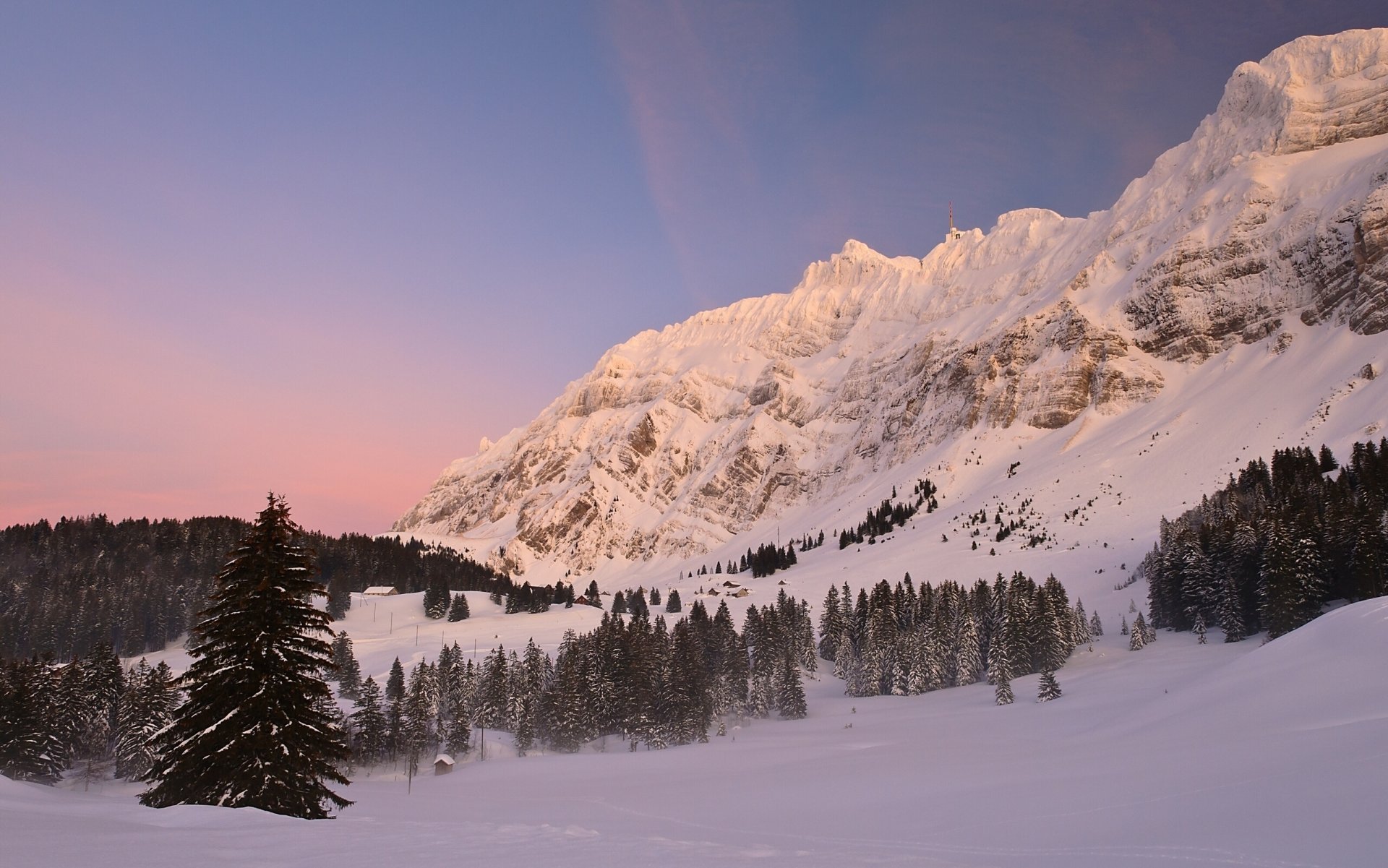 col de chwagalp suisse alpes col de montagne neige hiver épinette montagne